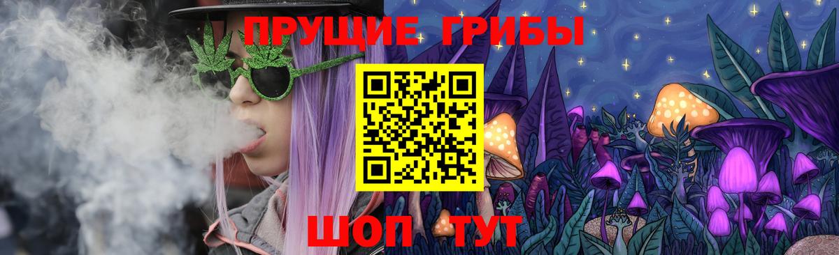 как найти закладки  Галлюциногенные грибы Cubensis  Вход с VPN  Галлюциногенные грибы прущие грибы  Ревда 
